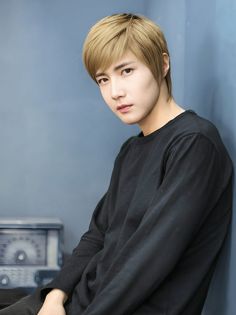 メンズウィッグ ショートアシンメトリー